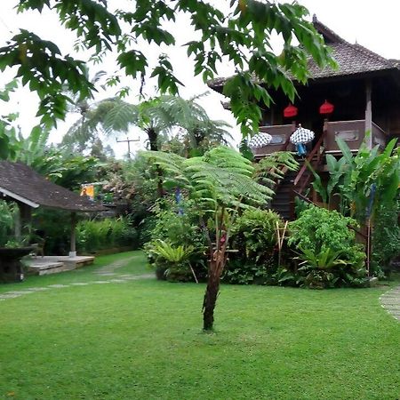 Вілла Bali Mountain Retreat Selemadeg  Екстер'єр фото